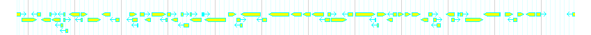 Genes detail