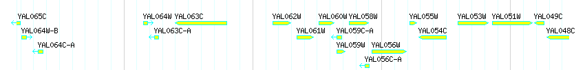 Genes detail