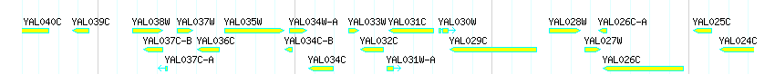 Genes detail