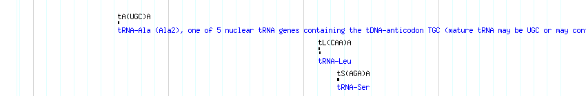 tRNAs detail
