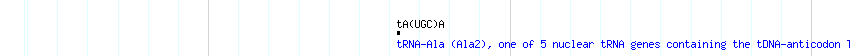 tRNAs detail