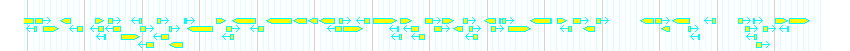 Genes detail