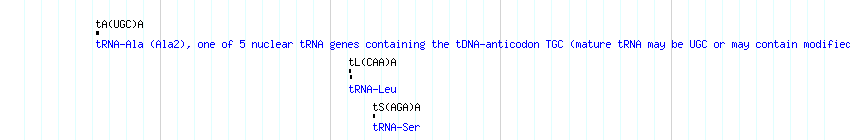 tRNAs detail