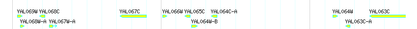 Genes detail