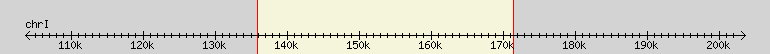 __scale__ region