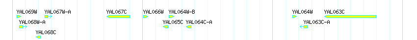 Genes detail