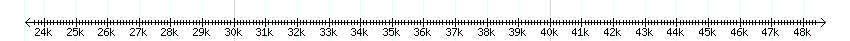 __scale__ detail