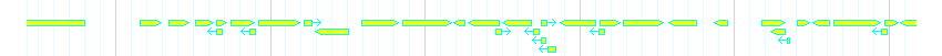 Genes detail