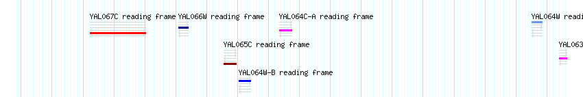 CDS detail
