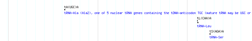 tRNAs detail