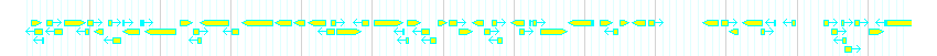 Genes detail