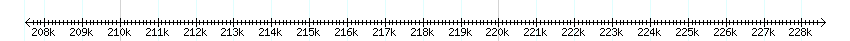 __scale__ detail