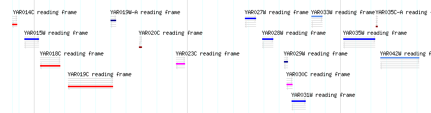 CDS detail