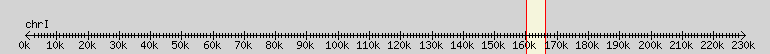 __scale__ overview