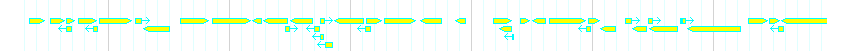Genes detail