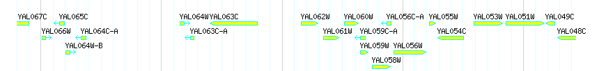 Genes detail