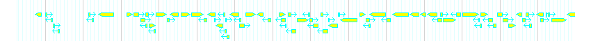 Genes detail