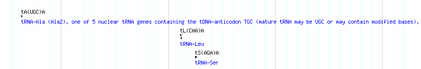 tRNAs detail