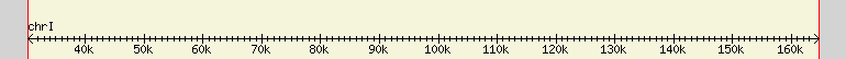 __scale__ region