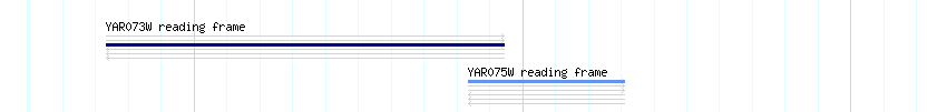 CDS detail