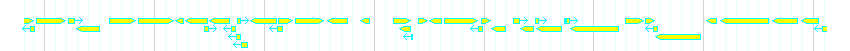 Genes detail