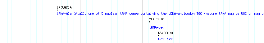 tRNAs detail