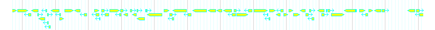Genes detail