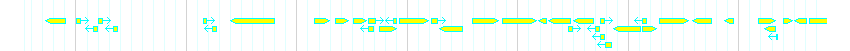 Genes detail