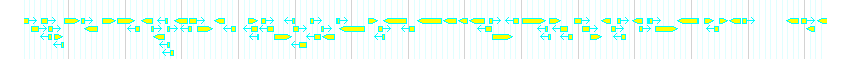 Genes detail