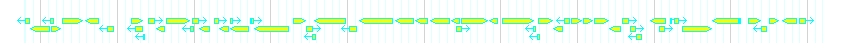 Genes detail