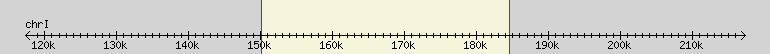 __scale__ region