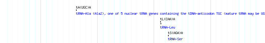 tRNAs detail