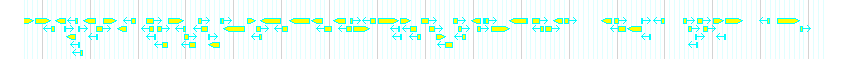 Genes detail