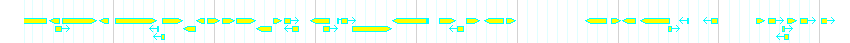 Genes detail