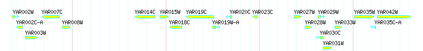 Genes detail