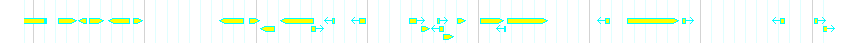 Genes detail
