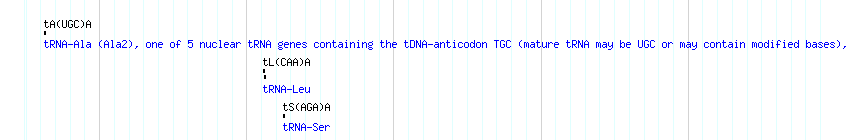tRNAs detail