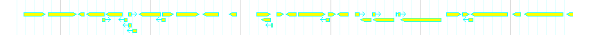 Genes detail