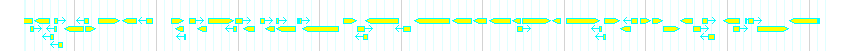 Genes detail