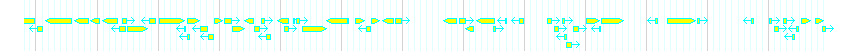 Genes detail