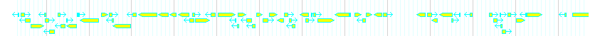 Genes detail