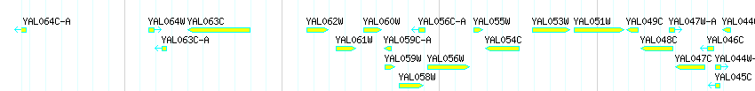 Genes detail