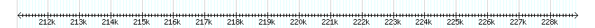 __scale__ detail