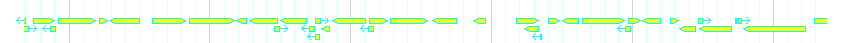 Genes detail