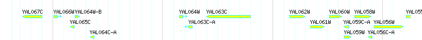 Genes detail