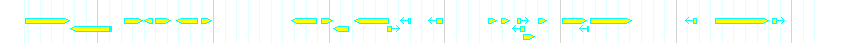 Genes detail