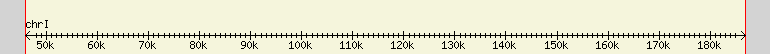 __scale__ region