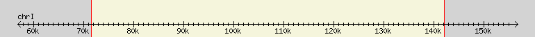 __scale__ region
