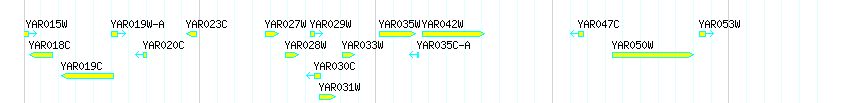 Genes detail
