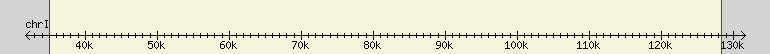 __scale__ region